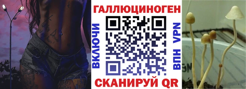 Купить закладки  Югорск  Псилоцибиновые грибы Magic Shrooms 
